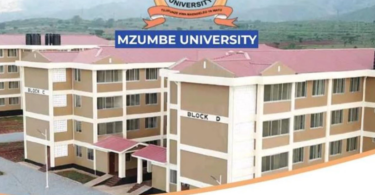 Kozi Zinazotolewa Chuo cha Mzumbe 2025/2026