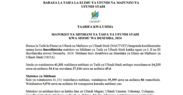 Matokeo ya Mitihani ya Taifa ya Ufundi Stadi VETA NACTVET Kwa Msimu wa Desembe 2024