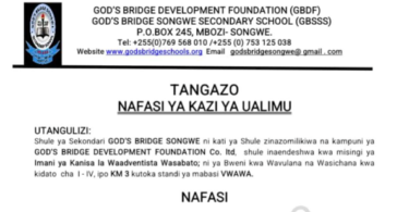 Nafasi za Kazi Ualimu God's Bridge Secondary Songwe 2025 Nafasi za Kazi God's Bridge Secondary Songwe 2025