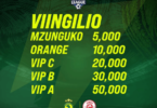 Viingilio Mechi ya Derby Yanga vs Simba 8 Machi 2025