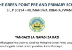 Nafasi 3 za Kazi Ualimu Shule ya Awali na Msingi ya Green Point 2025