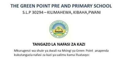 Nafasi 3 za Kazi Ualimu Shule ya Awali na Msingi ya Green Point 2025