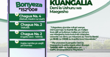 Jinsi ya Kuangalia Deni la Ushuru wa Maegesho TARURA