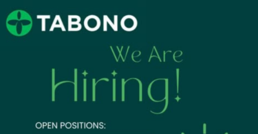 Nafasi 8 za Kazi Tabono Consult 2025