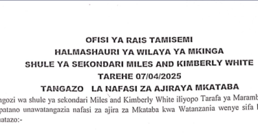 Nafasi 10 za Ajira ya Mkataba Miles and Kimberly White Secondary 2025